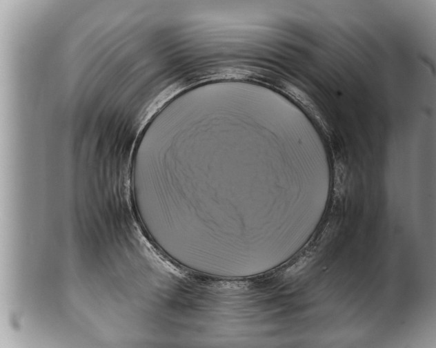 X0000100190802200806201356