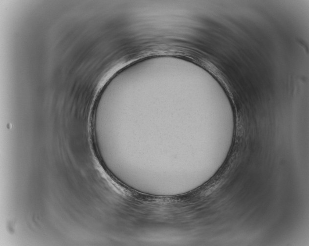 X0000100190803200806201356