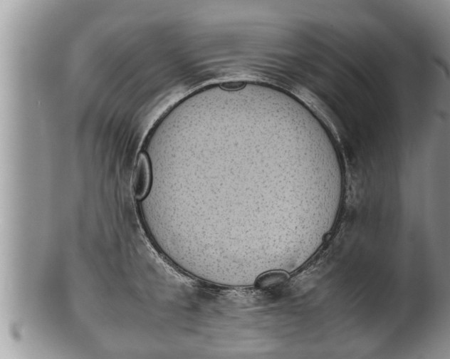 X0000100190805200806201356