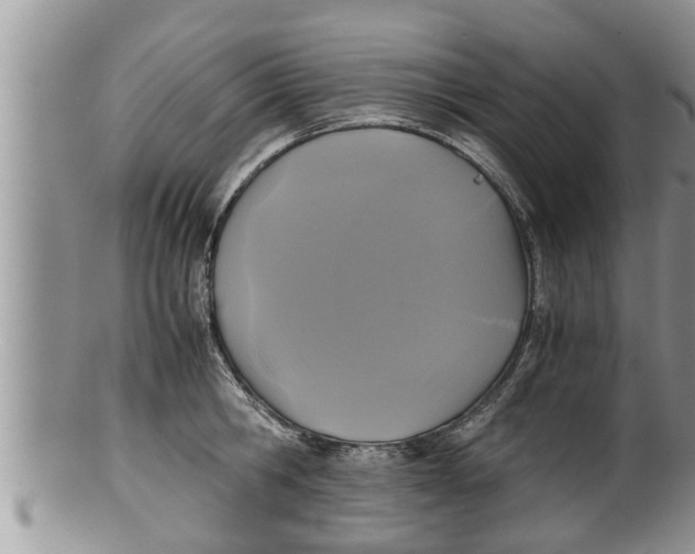 X0000100190806200806201356