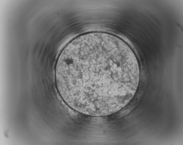 X0000100190807200806201356