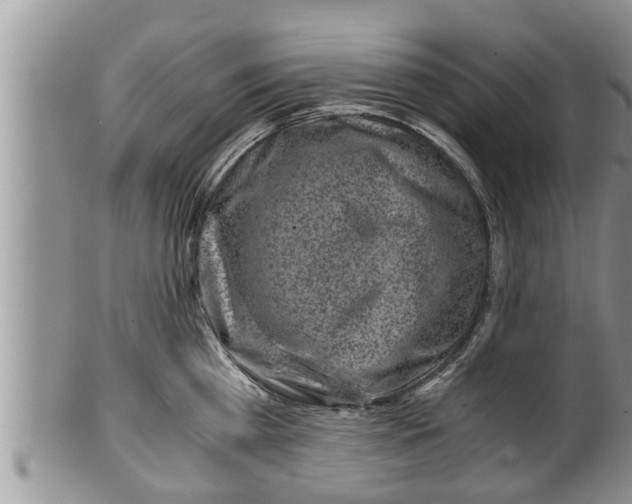 X0000100190809200806201356