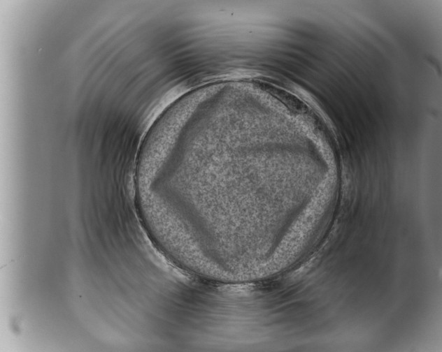 X0000100190810200806201356