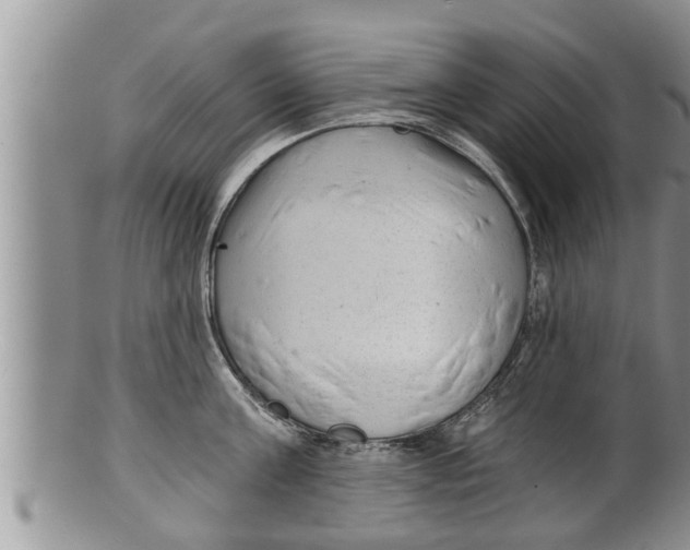 X0000100190811200806201356
