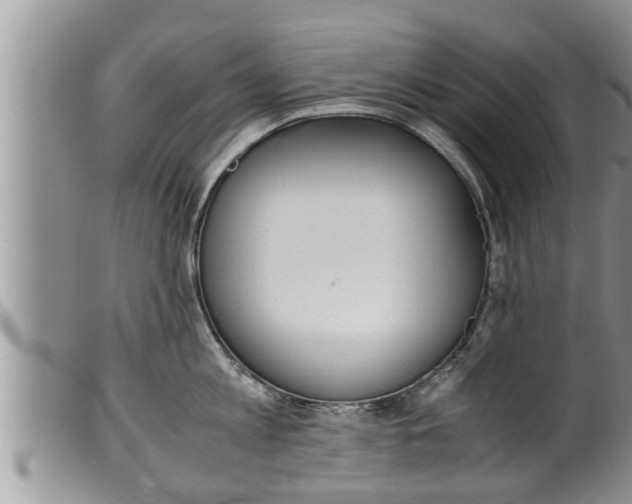 X0000100190813200806201356