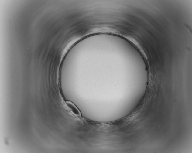 X0000100190815200806201356