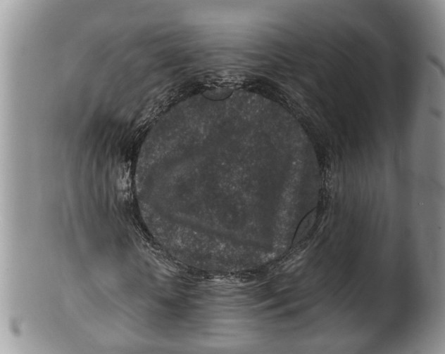 X0000100190818200806201355