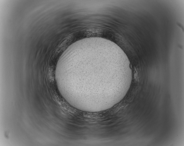X0000100190819200806201355