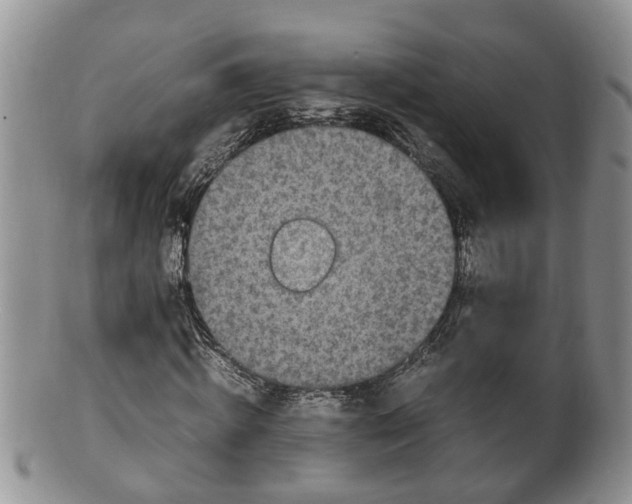 X0000100190820200806201355