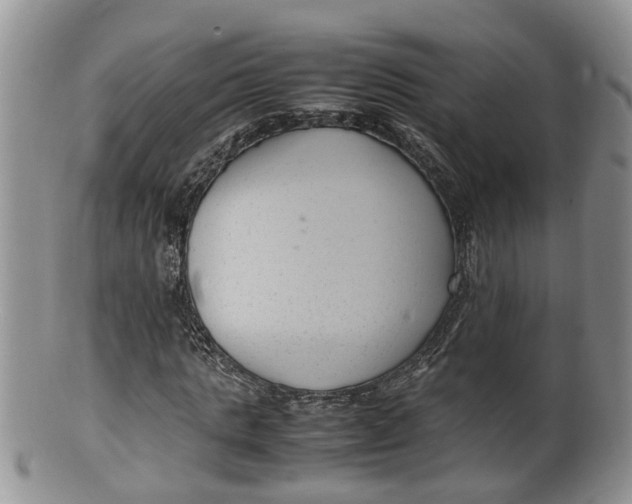 X0000100190821200806201355