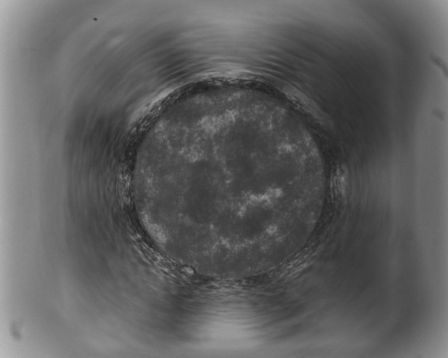 X0000100190822200806201355