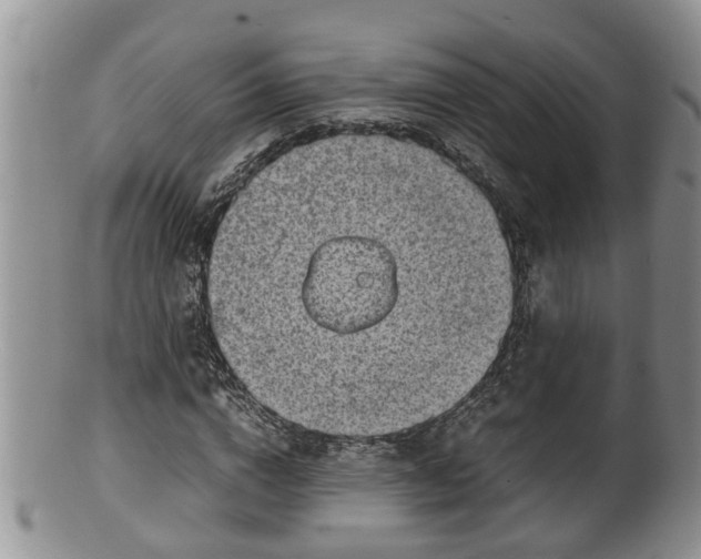 X0000100190824200806201355