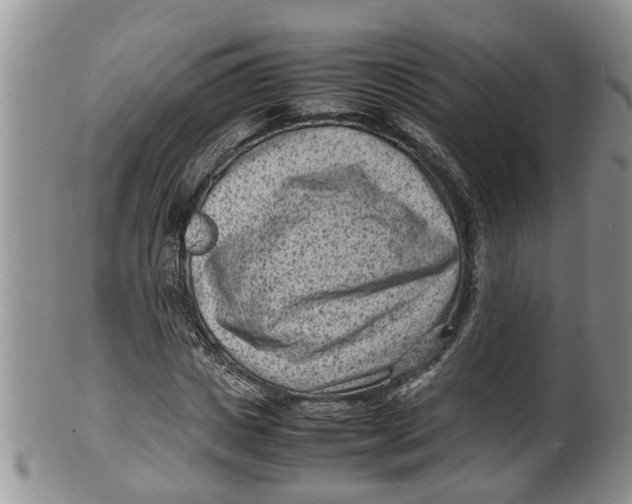 X0000100190825200806201355