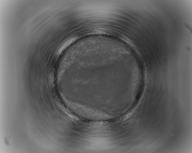 X0000100190826200806201355