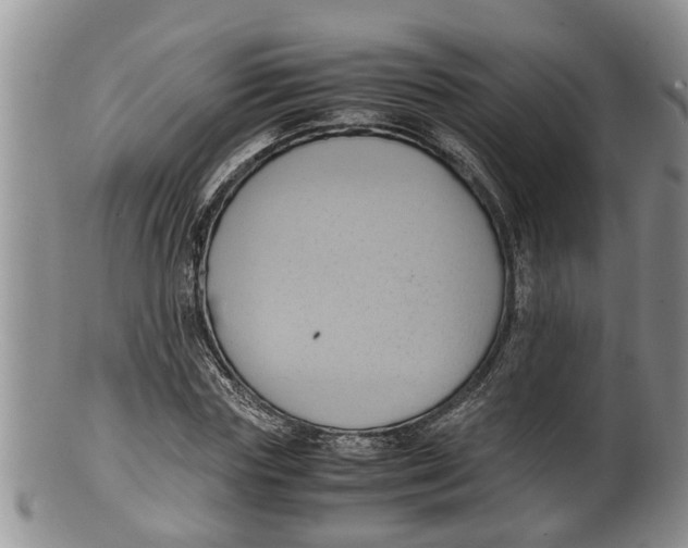 X0000100190827200806201355
