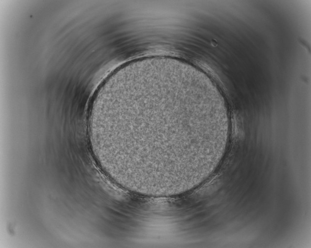 X0000100190828200806201355