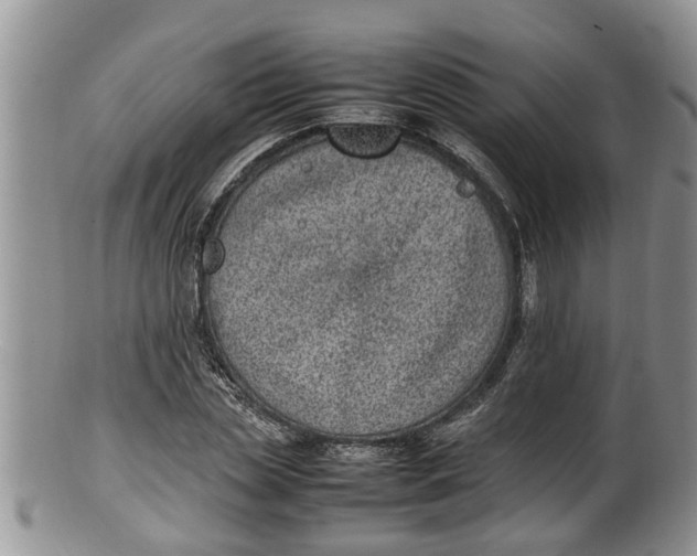 X0000100190829200806201355