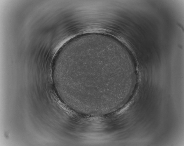 X0000100190830200806201355