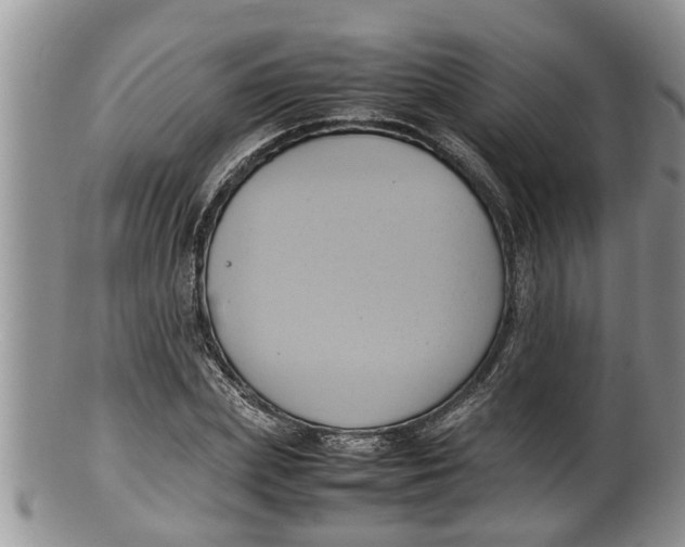 X0000100190831200806201355