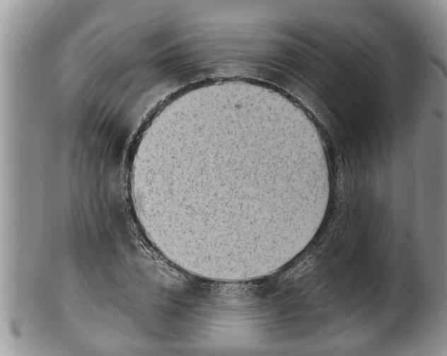 X0000100190832200806201355