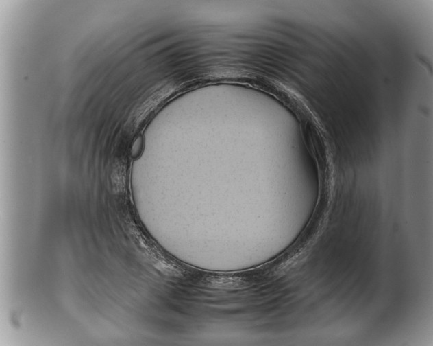 X0000100190833200806201355