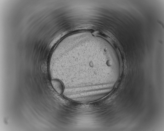 X0000100190834200806201355