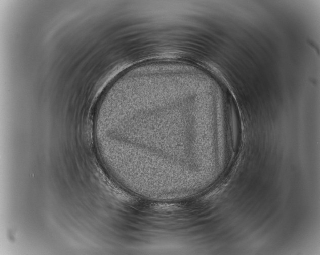 X0000100190835200806201355