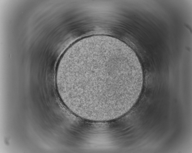 X0000100190836200806201355