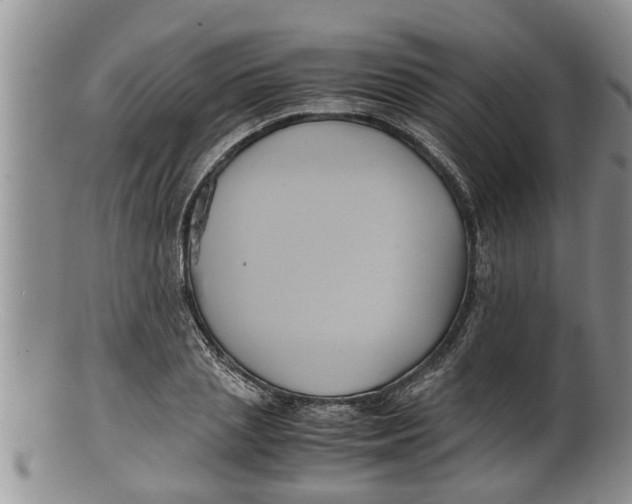 X0000100190837200806201355