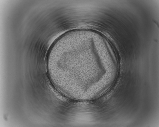 X0000100190838200806201355