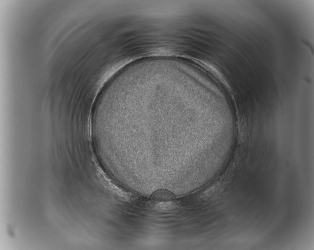 X0000100190839200806201355