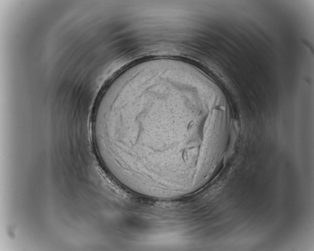 X0000100190840200806201355