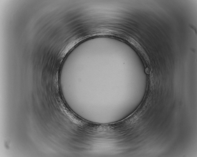 X0000100190842200806201356