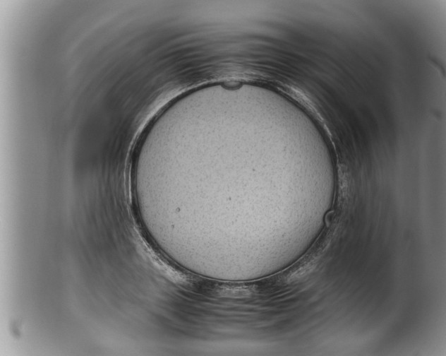 X0000100190843200806201356