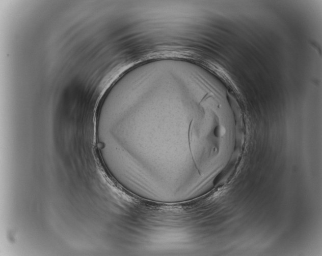 X0000100190844200806201356