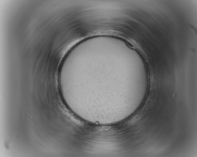 X0000100190846200806201356