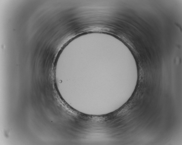 X0000100190848200806201356