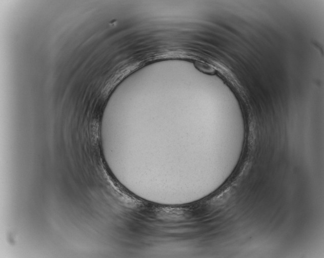 X0000100190849200806201356