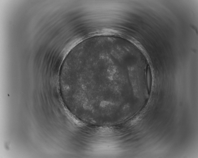 X0000100190850200806201356