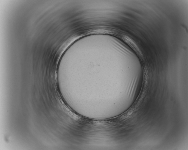X0000100190852200806201356