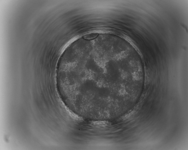 X0000100190853200806201356