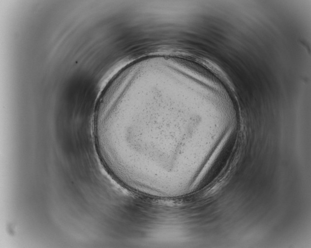 X0000100190855200806201356
