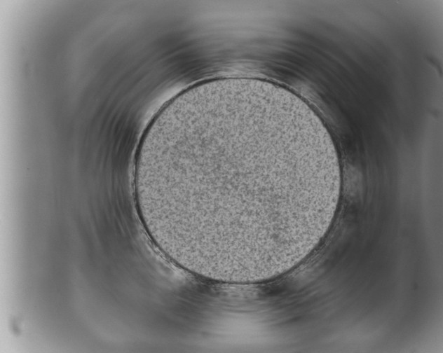 X0000100190856200806201356