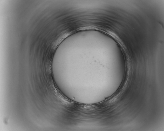 X0000100190857200806201356