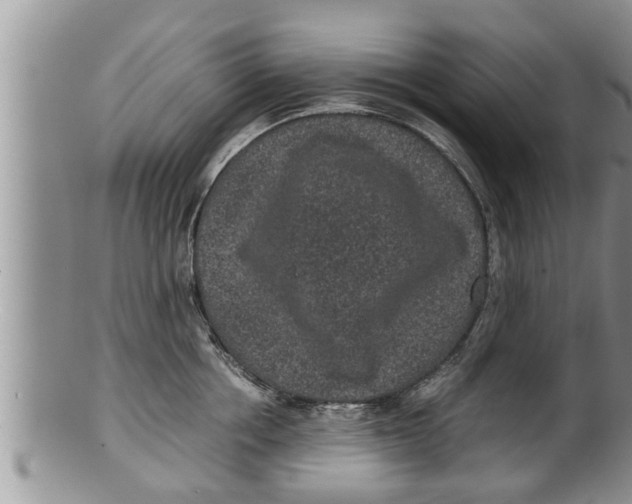 X0000100190858200806201356