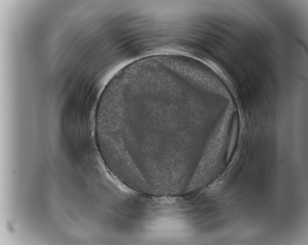X0000100190862200806201356