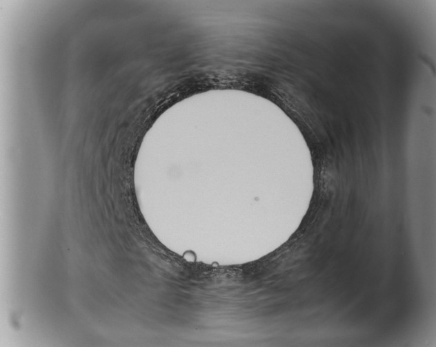 X0000100190865200806201355