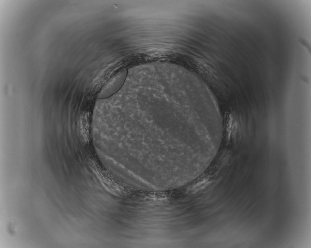 X0000100190868200806201355