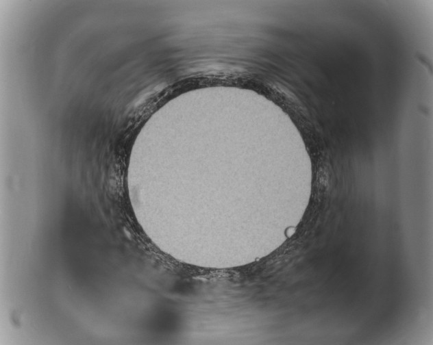 X0000100190869200806201355
