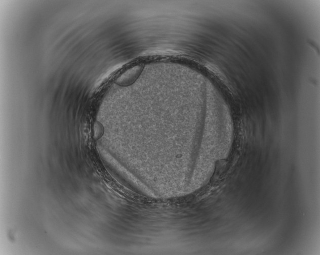 X0000100190872200806201355